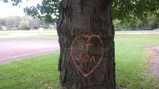 Park «Bluff Park», reviews and photos, 555 W Hanna Ave, Indianapolis, IN 46217, USA