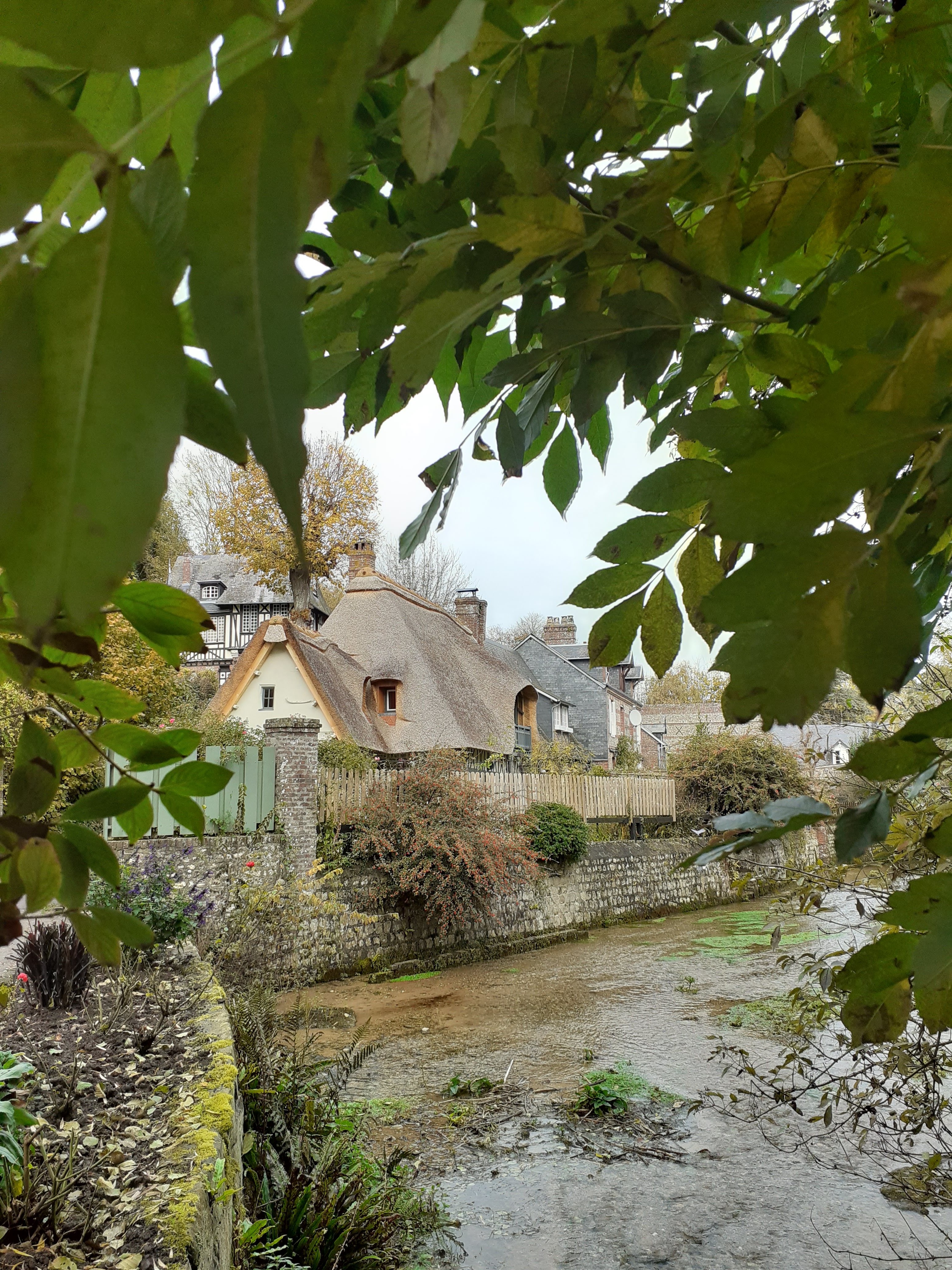 Photo n° 1 de l'avis de Laurence.O fait le 14/11/2021 à 12:44