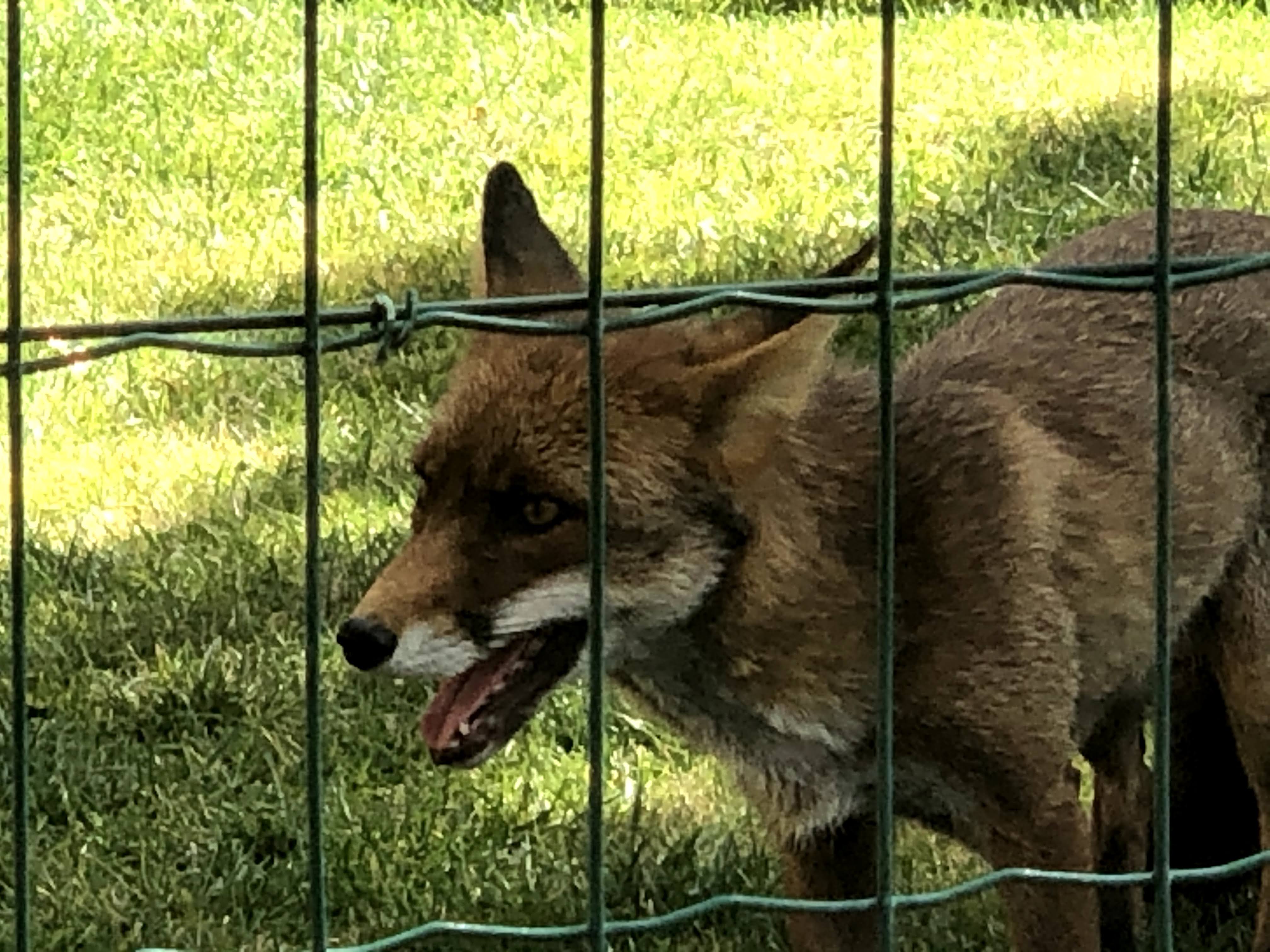 Photo n° 9 de l'avis de Jérémie.r fait le 28/08/2020 à 17:19
