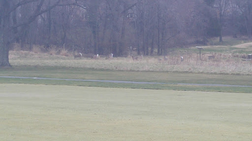 Country Club «Woodmont Country Club», reviews and photos, 1201 Rockville Pike, Rockville, MD 20852, USA