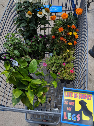 Discount Store «Walmart», reviews and photos, County Rd 513, Clinton, NJ 08809, USA