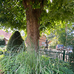 Photo n°6 de l'avis de Federico.r fait le 12/08/2023 à 07:03 sur le  Klosterschänke Hude à Hude