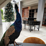 Photo n°6 de l'avis de Miguel.f fait le 04/01/2020 à 18:51 sur le  Monte Real Hotel,Termas & Spa à Monte Real