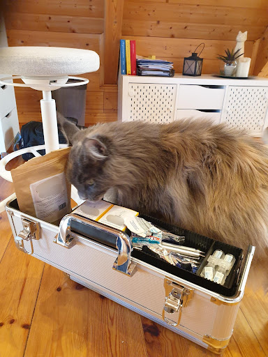 Mobile Tierarztpraxis Nina Kneifel - Akupunktur, TCM, Lasertherapie, Naturheilkunde unter Ingelheim am Rhein, Rheinland-Pfalz