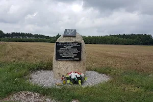 pomnik ku czci Bolesława Odrowąża-Szukiewicza image