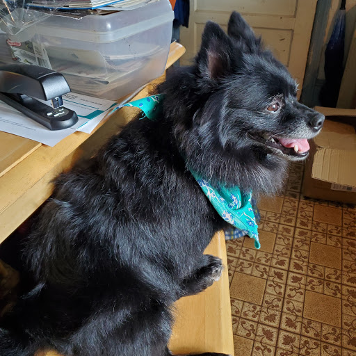 1335 Gravel Pike, Zieglerville, PA 19492, USA