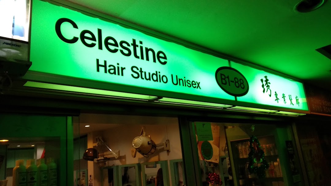 Celestine Hair Studio Unisex