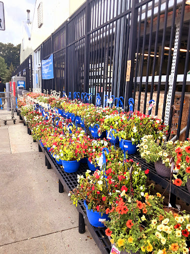 Department Store «Walmart Supercenter», reviews and photos, 16 Old Gick Rd, Saratoga Springs, NY 12866, USA