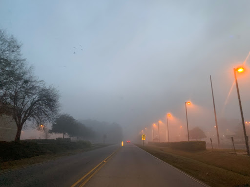 Community College «Trident Technical College», reviews and photos