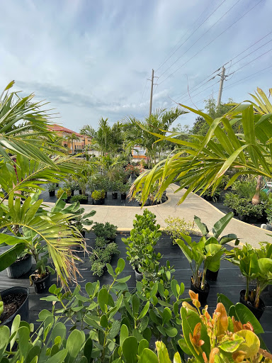 Hardware Store «Ace Handiman Hardware», reviews and photos, 705 N Atlantic Ave, Cocoa Beach, FL 32931, USA