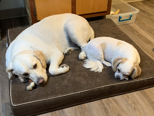 301 Cadiz Rd, Steubenville, OH 43953, USA