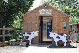 Gelli Farm Raw Milk