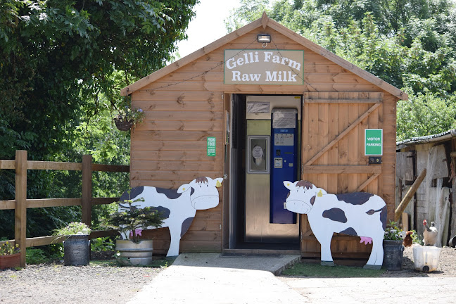 Gelli Farm Raw Milk
