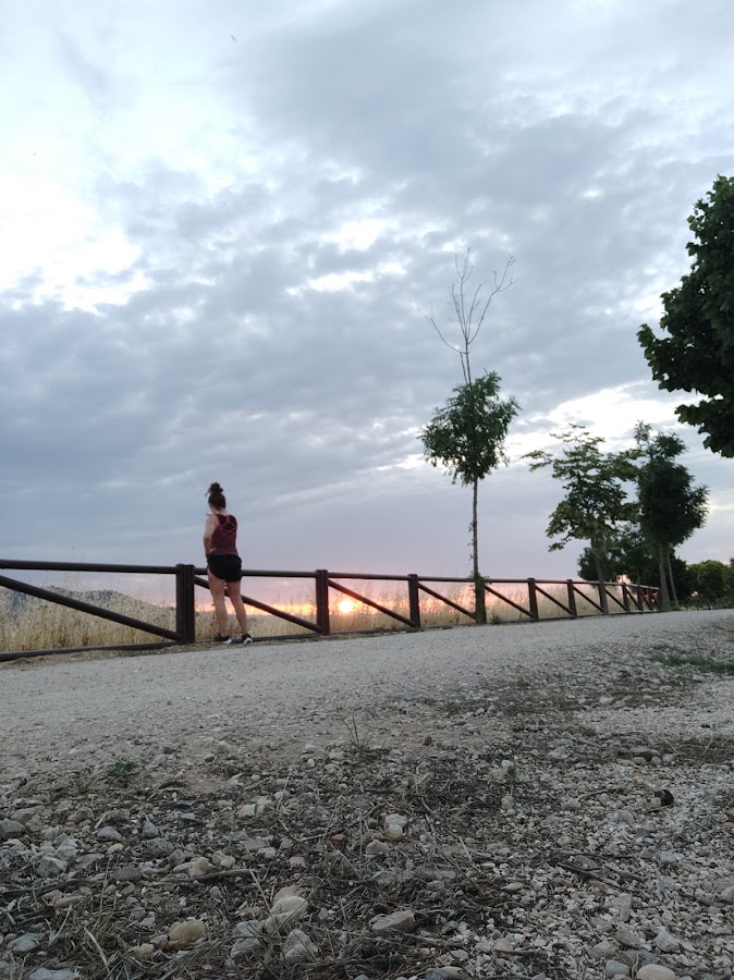 Parque canino Los Miradores