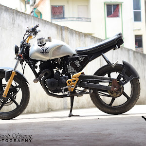 Hindustan Customs photo
