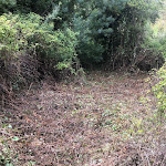 Photo n°8 de l'avis de Antòni.s fait le 24/11/2021 à 11:08 sur le  Bar Trattoria Tequila à San Giovanni di Sinis