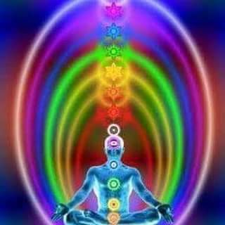 Life Matrix Wellness Programmes