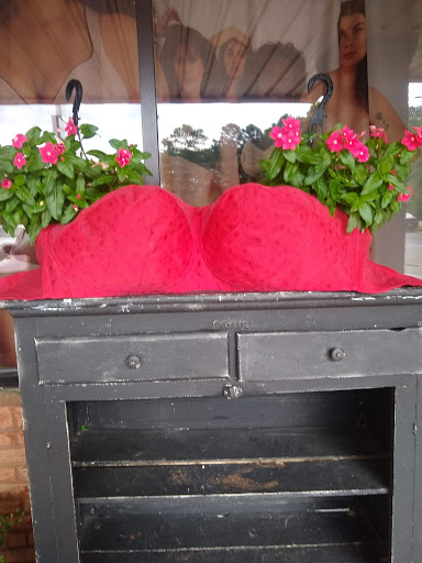 Lingerie Store «LiviRae Lingerie», reviews and photos, 440 Ernest W Barrett Pkwy NW #31, Kennesaw, GA 30144, USA