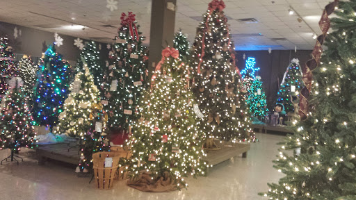 Store «Seasonal Specialty Stores», reviews and photos, 113 Washington St, Foxborough, MA 02035, USA