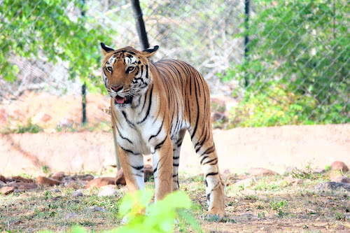 Sri Venkateswara Zoological Park 