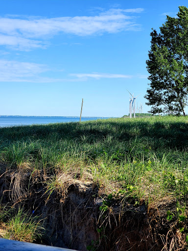 State Park «Woodlawn Beach State Park», reviews and photos, 3580 Lakeshore Rd, Blasdell, NY 14219, USA