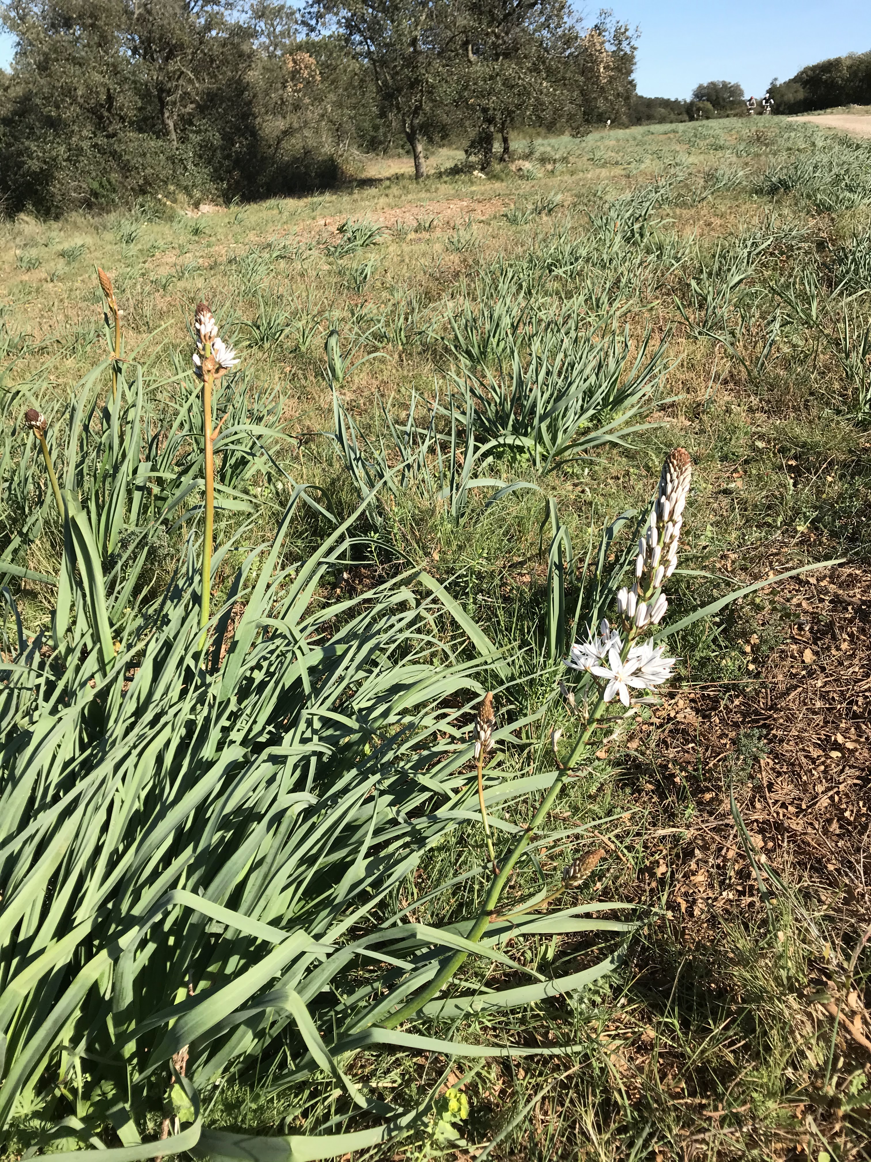 Photo n° 3 de l'avis de Brigitte.e fait le 15/03/2020 à 01:05