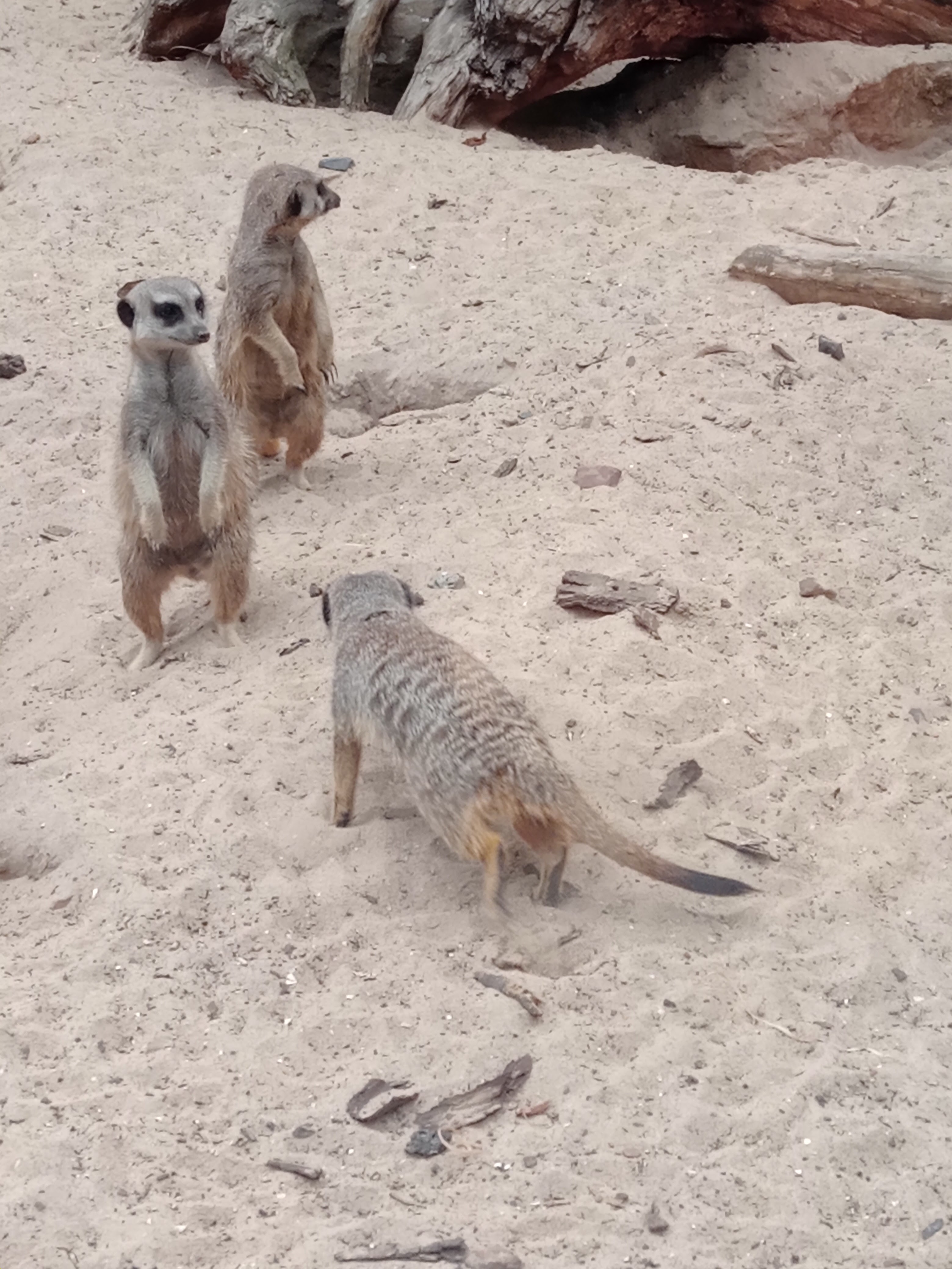 Photo n° 1 de l'avis de Sylvie.o fait le 26/08/2022 à 17:10