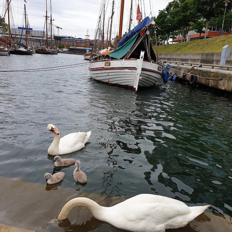 Museumshafen Kiel e.V.