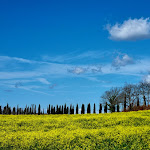 Photo n°1 de l'avis de Emanuele.i fait le 26/03/2023 à 13:17 sur le  Il Minestraio à Chiusdino