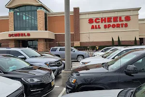 Scheels image