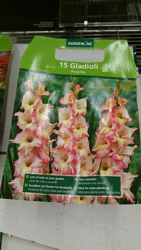 Supermarket «ALDI», reviews and photos, 14620 Greyhound Plaza, Carmel, IN 46032, USA