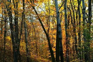 Zillmer Loop System Trails image