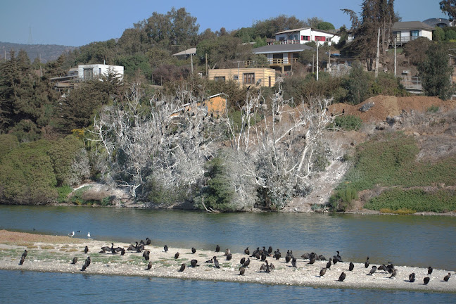 Playa laguna - Zapallar