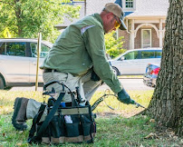 Grassland Horticulture - Photo 2 - Car repair in Franklin, TN, Nashville