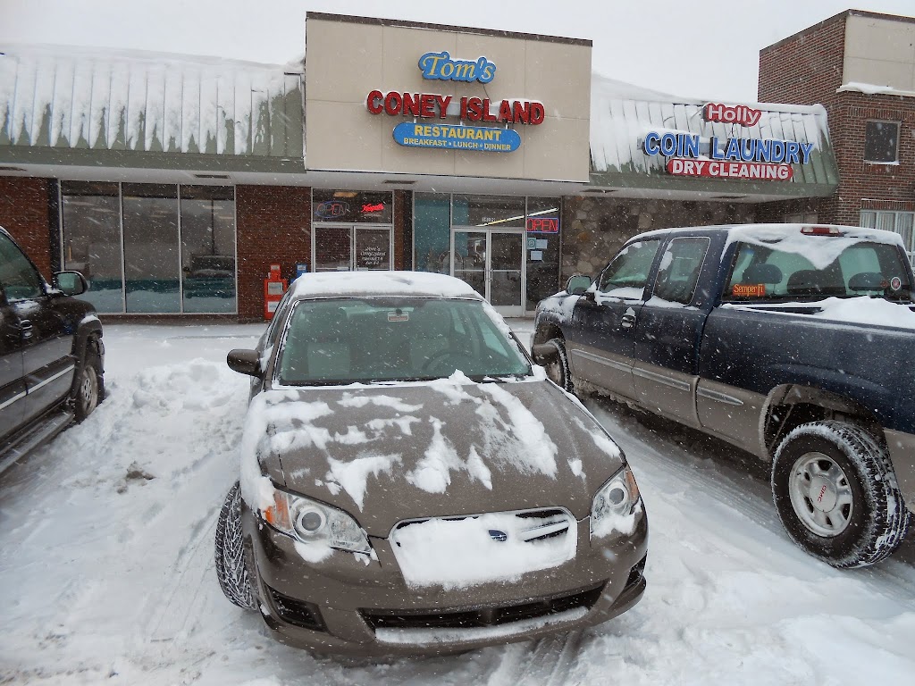 Mike's Coney Island Restaurant 48442