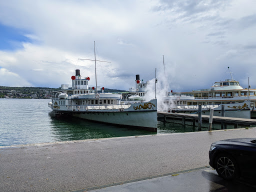 Zürichsee Schifffahrt Hafen