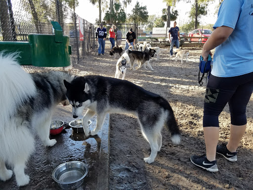 Dog Park «Arbor Dog Park», reviews and photos, 1405 N Grant St, Longwood, FL 32750, USA