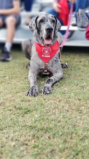 Dogtoberfest