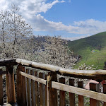 Photo n°2 de l'avis de R..e fait le 24/03/2024 à 18:05 sur le  WALDHISLI - Wo Ihnen Fuchs und Hase gute Nacht sagen. à Oberkirch