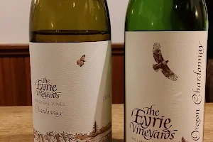 The Eyrie Vineyards image