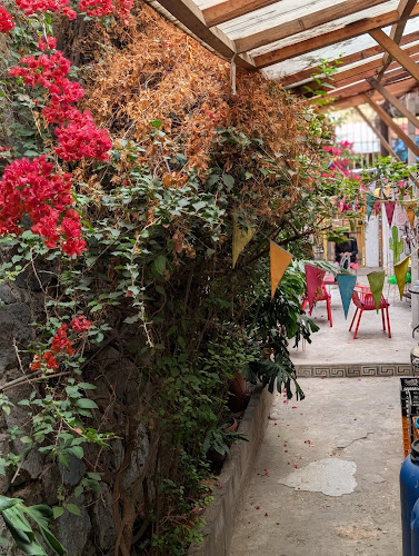 Opiniones de Casa Volante Hostal en Valparaíso - Hotel