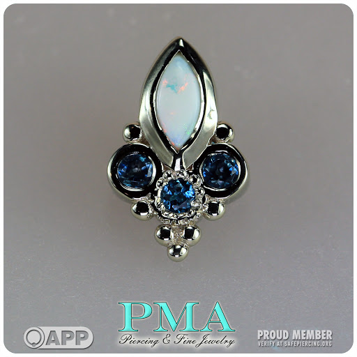 Body Piercing Shop «Wasted Youth Tattoo & PMA Piercing», reviews and photos, 1335 Lakeside Dr #1, Romeoville, IL 60446, USA