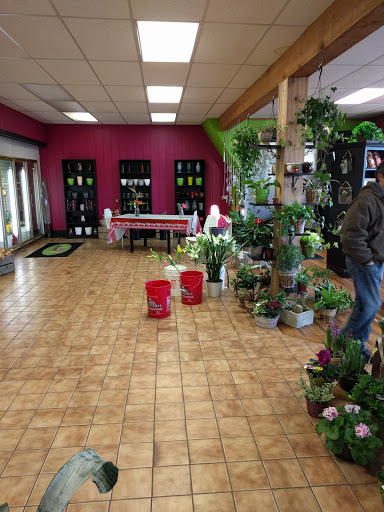 Florist «Shakopee Florist», reviews and photos, 409 1st Ave E, Shakopee, MN 55379, USA