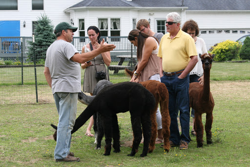 Farm «Painted Sky Alpaca Farm & Fiber Mill», reviews and photos, 95 Knight House Ln, Earleville, MD 21919, USA