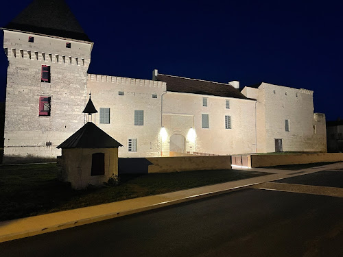 Château de Monts-sur-Guesnes à Monts-sur-Guesnes