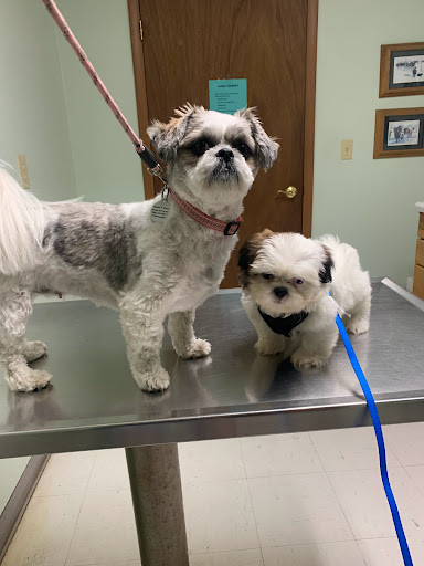 Spirit Lake Town & Country image