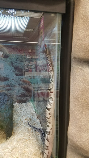 Pet Supply Store «Petco Animal Supplies», reviews and photos, 7721 Mentor Ave, Mentor, OH 44060, USA