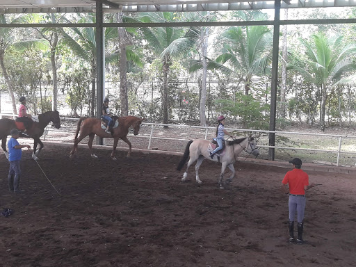 Club de Equitación Castilla del Oro