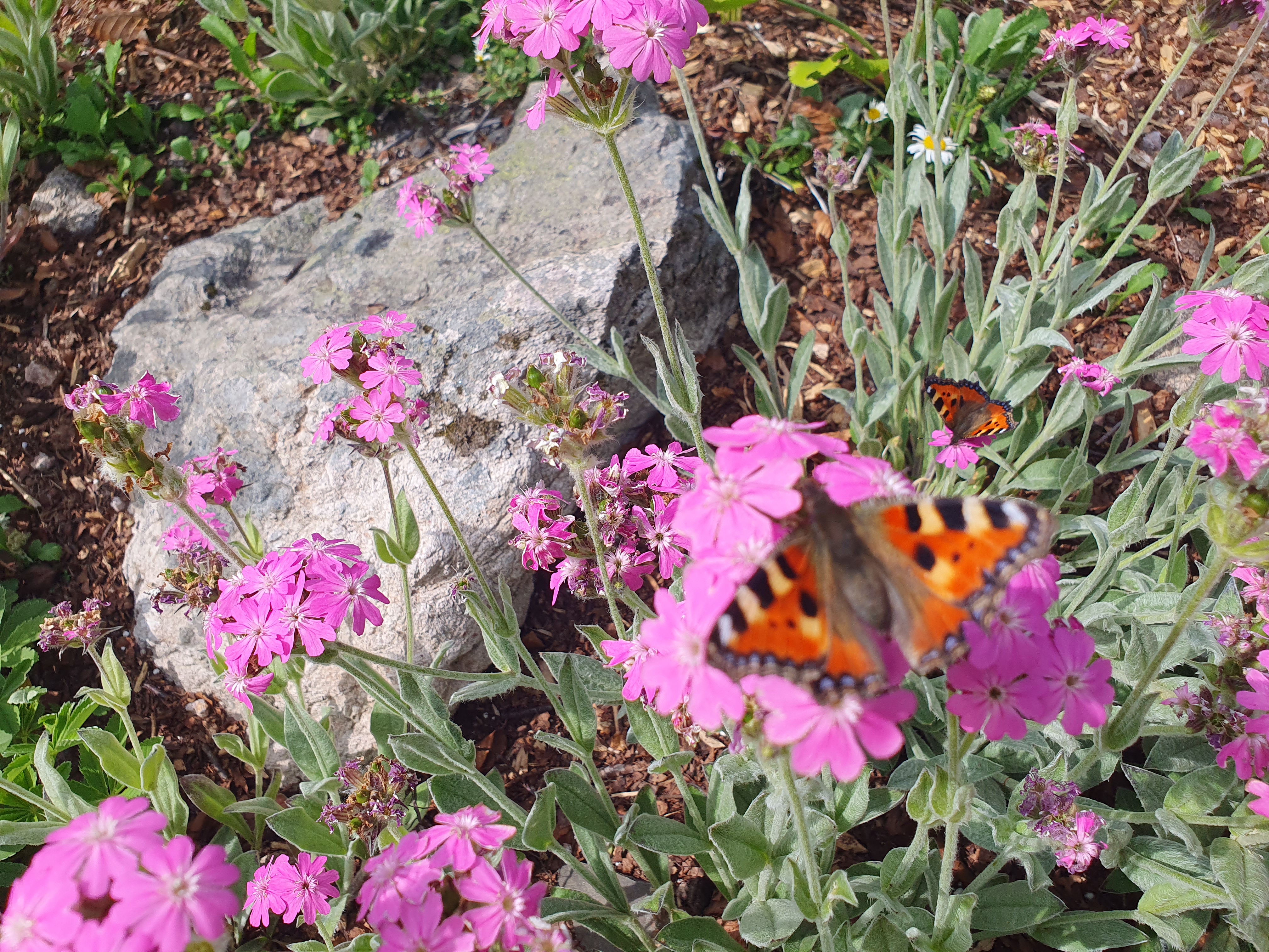 Photo n° 4 de l'avis de SYLVIE.A fait le 29/06/2023 à 20:48