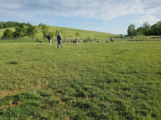 Dog Park «Worthington Off Leash Dog Park», reviews and photos, 8170 Hillsborough Rd, Ellicott City, MD 21043, USA